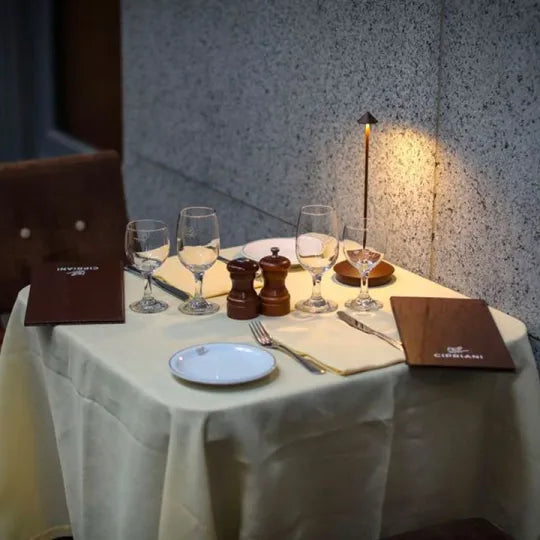 Stylish dimmable LED table lamp, portable and wireless for home decor & ambient light.