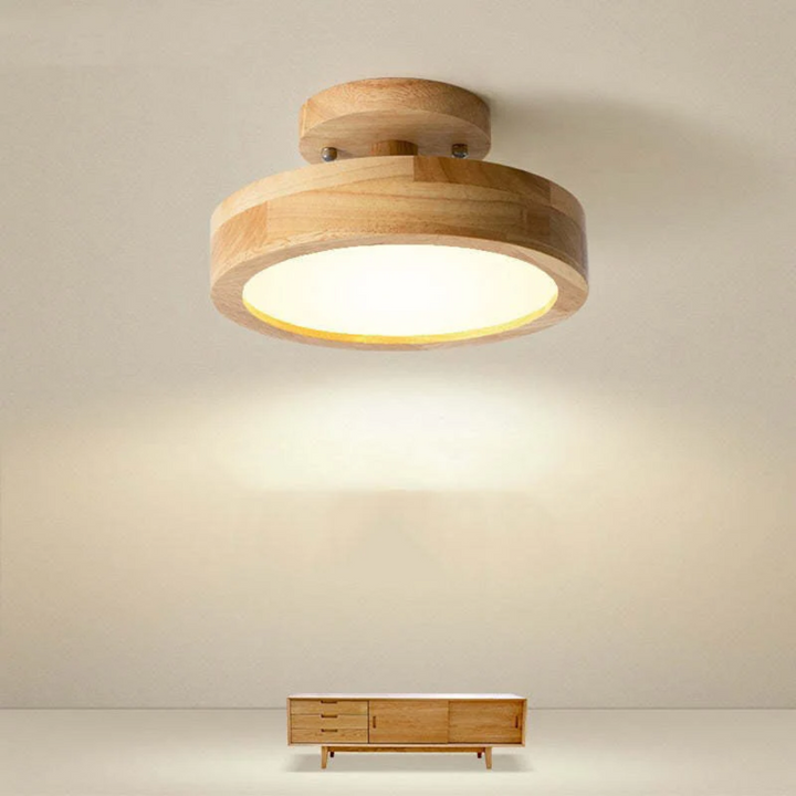 Modern Nova LED ceiling lamp with adjustable light for versatile decor.