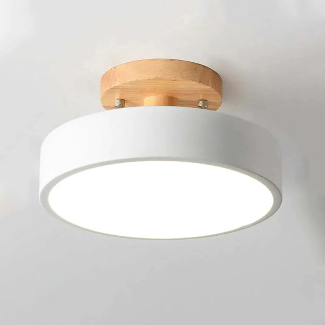 Bright Nova LED ceiling fixture, modern home decor accent.