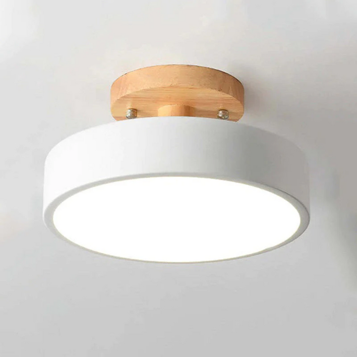 Bright Nova LED ceiling fixture, modern home decor accent.