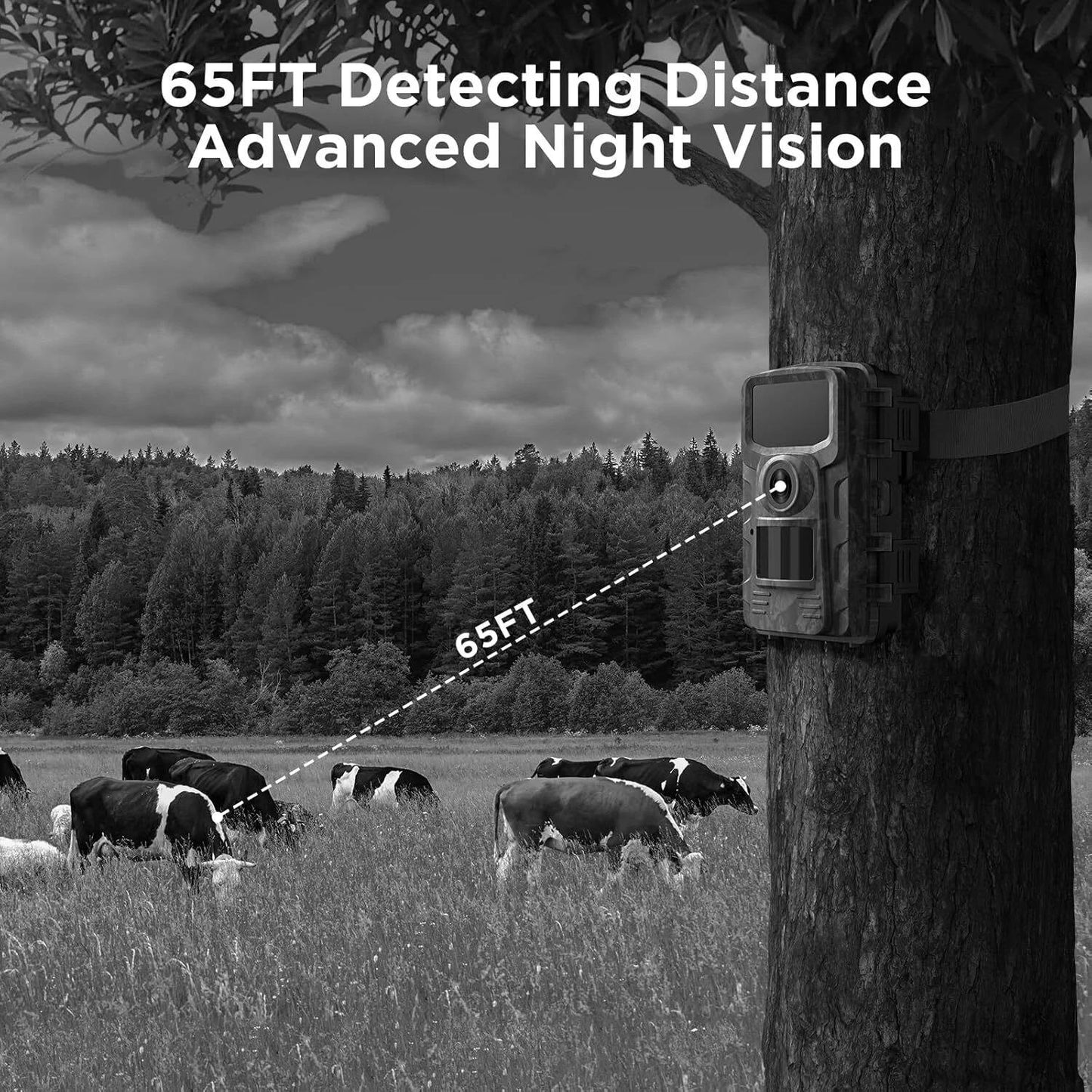 Stealth trail camera with infrared night vision for clear animal monitoring in darkness. Outdoor security.