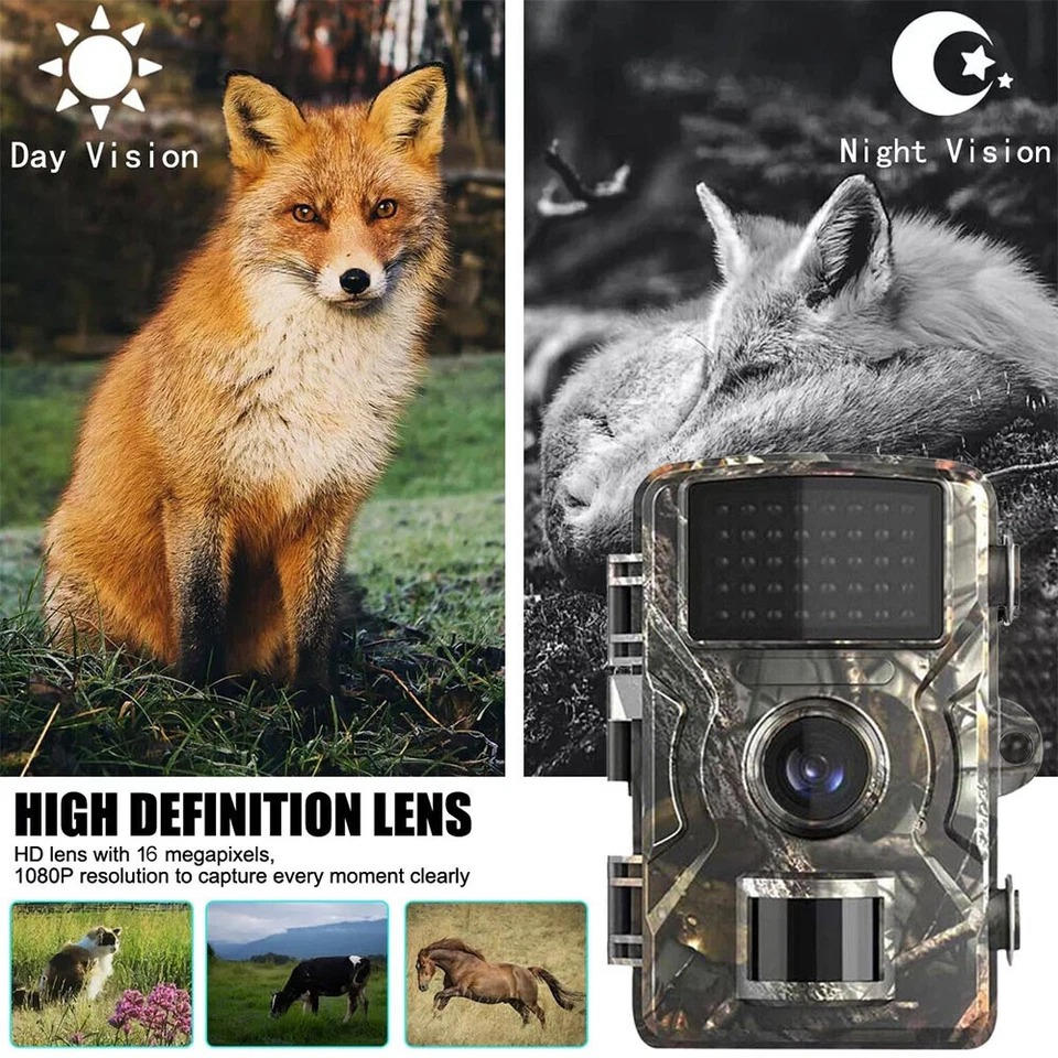 Rugged, weatherproof wildlife camera. Perfect for outdoor animal monitoring & nature observation in any climate.