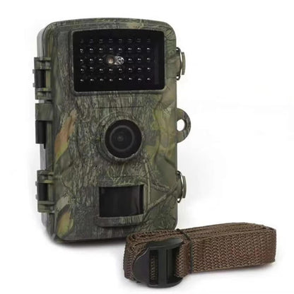 Long-lasting outdoor trail camera powered by batteries. Weatherproof for continuous wildlife monitoring.