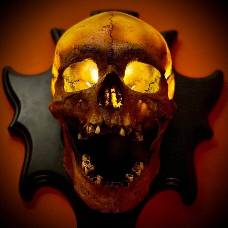 Decorative wall mounted skull lamp, 'Nocturiskull', for chilling Halloween decor & spooky ambient light.