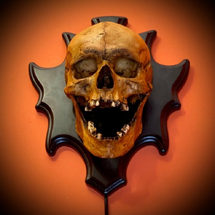 Gothic wall decor: Nocturiskull skull lamp. Resin design provides spooky ambient lighting for any room.