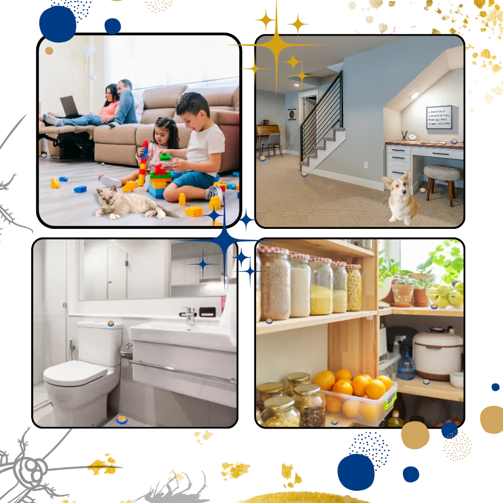 Odorless, non-toxic cockroach traps for safe home pest control, perfect for kitchens & pet areas.