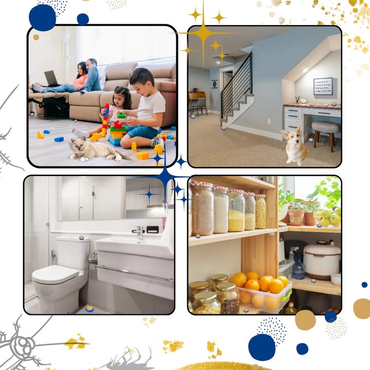 Odorless, non-toxic cockroach traps for safe home pest control, perfect for kitchens & pet areas.