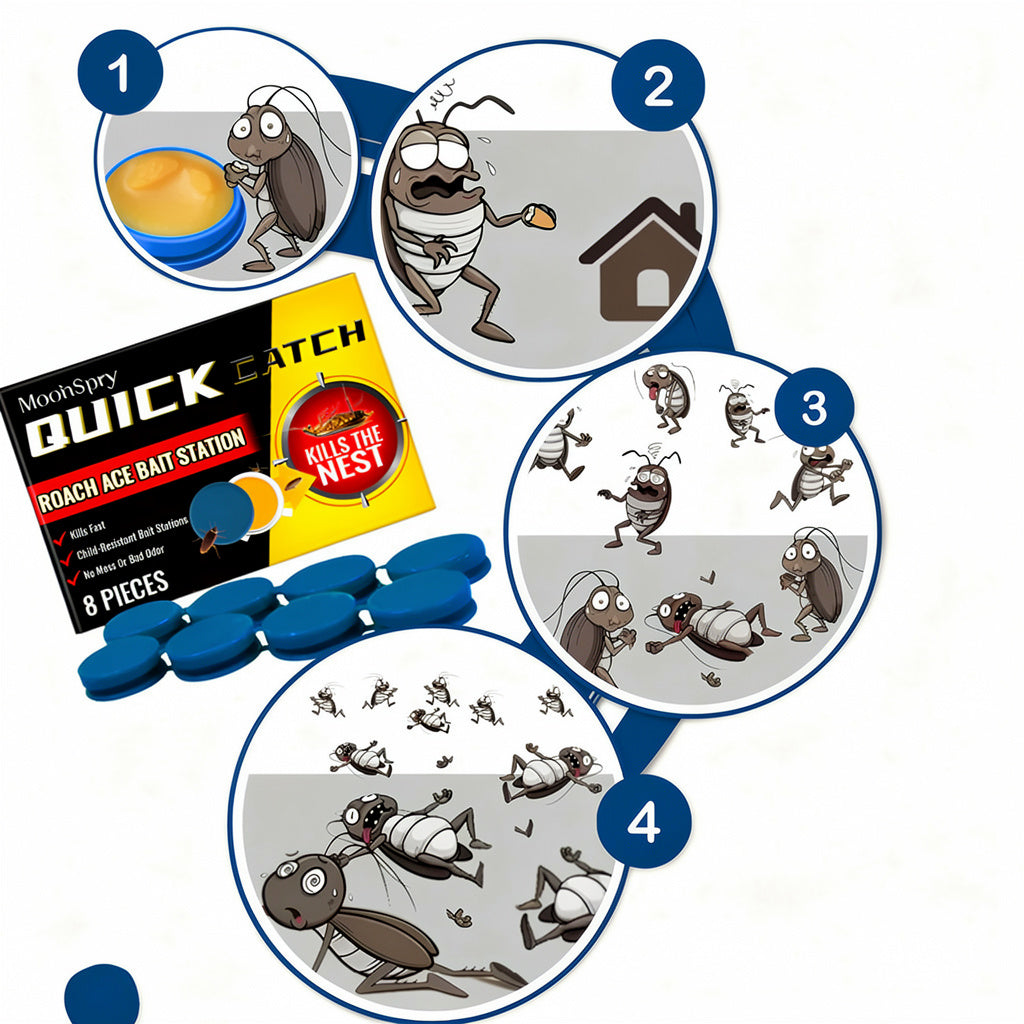 Effective cockroach traps designed for complete home pest eradication. Discreet & easy-to-use bug repellent solution.