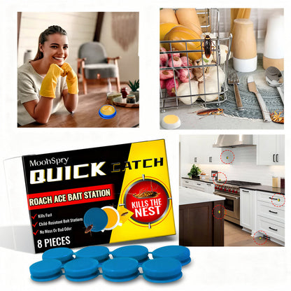 Home defense odorless cockroach traps for indoor pest control. Non-toxic insect killer & bug repellent solution.