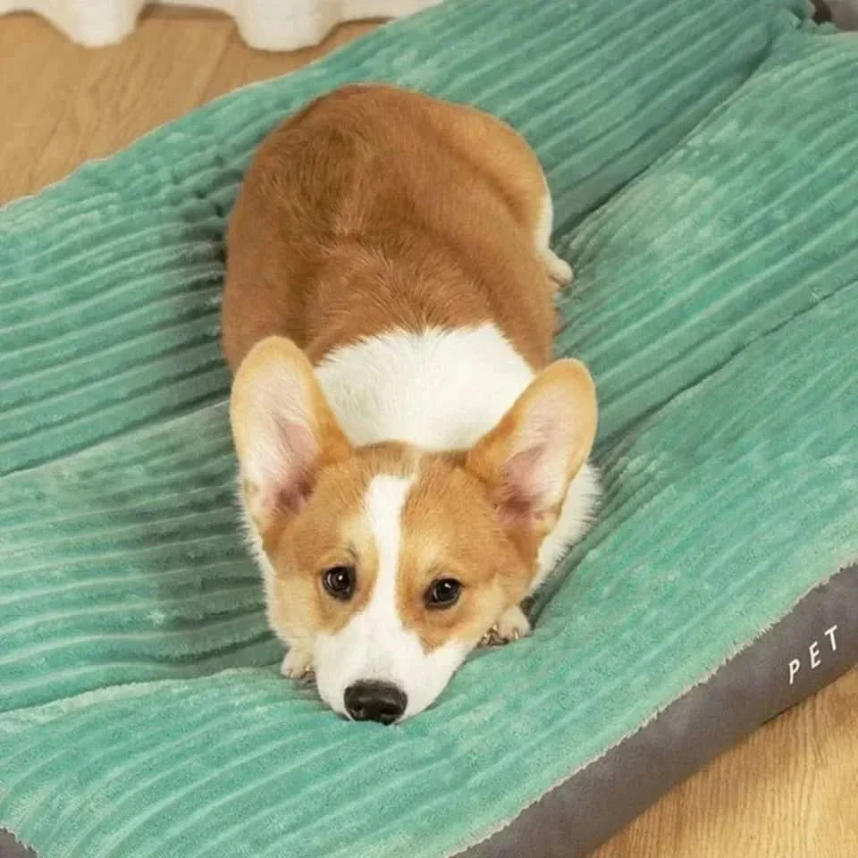 Washable orthopedic dog bed with supportive memory foam for superior joint support & deep, cozy sleep for pets.