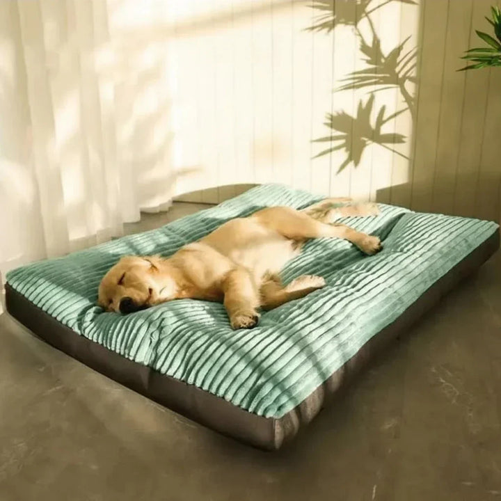 Comfortable orthopedic dog bed for dogs of all sizes, providing joint support, pain relief & restful deep sleep.