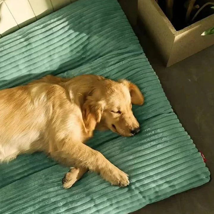 Cozy orthopedic dog bed promoting deep sleep & joint pain relief for happy, well-rested pets. Essential pet comfort.