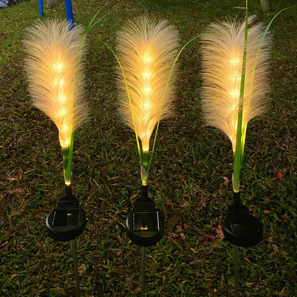 Warm white LED reed solar lights adding a charming touch to outdoor garden lighting and decor.