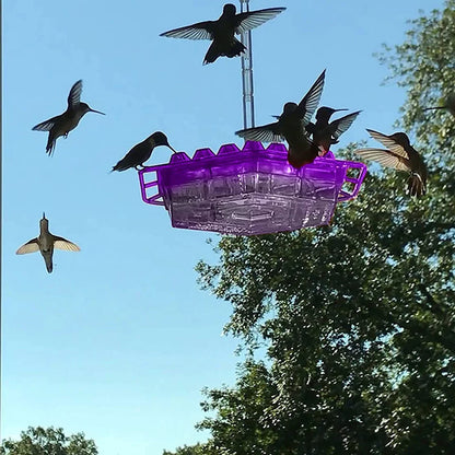 Outdoor hummingbird feeder with ant moat for nectar protection, attracting garden birds.