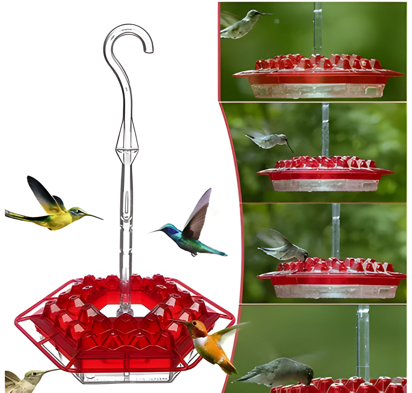 Close-up of a vibrant outdoor hummingbird feeder with ant moat, attracting hummingbirds to your garden.