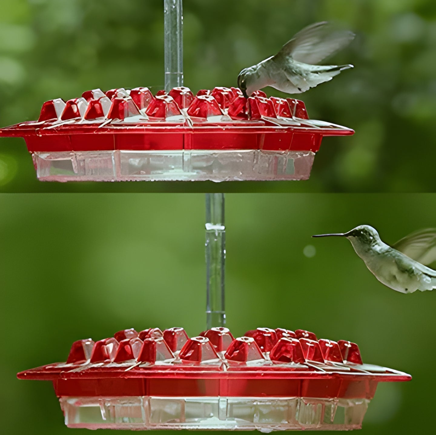 Easy clean hanging hummingbird feeder, ant-proof & bee-guard design, ideal for outdoor wildlife nectar.