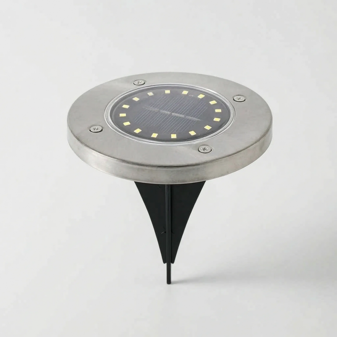 Durable outdoor solar disk lights, waterproof design for all-weather garden and landscape path lighting.