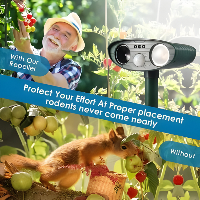 Yard defense system: Outdoor solar ultrasonic repeller keeps chipmunks and other pests away effectively.