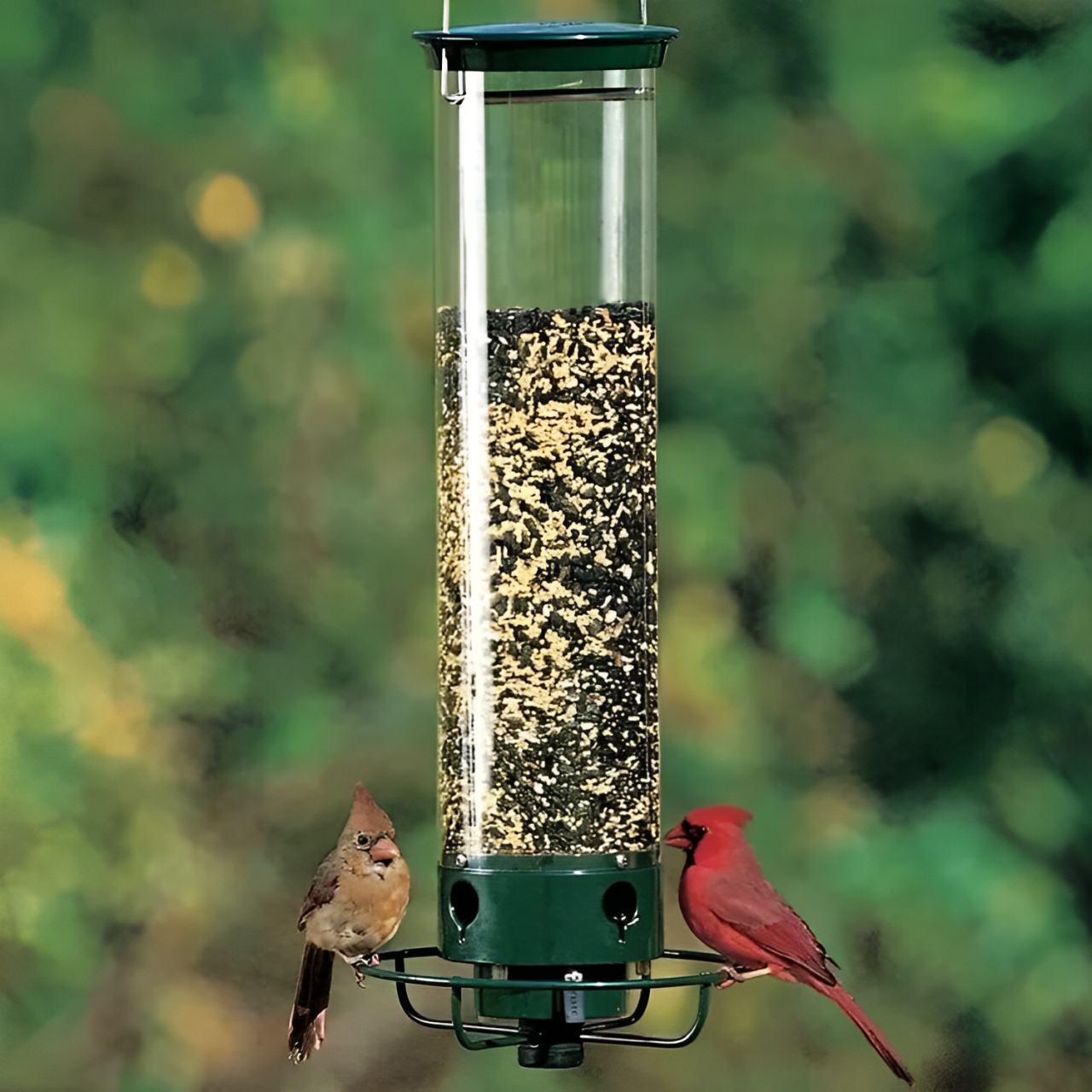 Outdoor squirrel-proof bird feeder for wild birds, perfect for garden decor & backyard birdwatching.