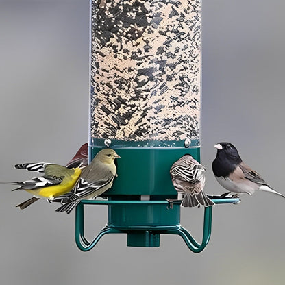 Durable hanging squirrel-proof bird feeder, designed to attract wild birds to your outdoor space.