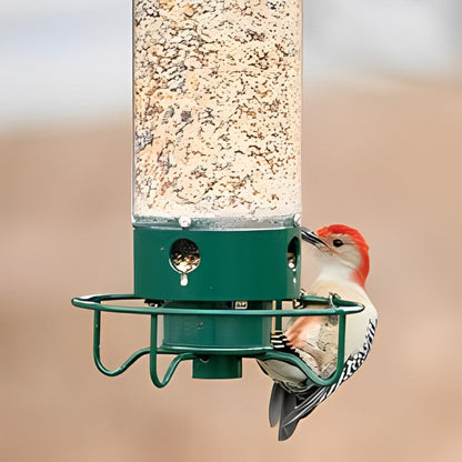 Easy-clean squirrel-resistant bird feeder, ensuring only wild birds access seeds in your garden.