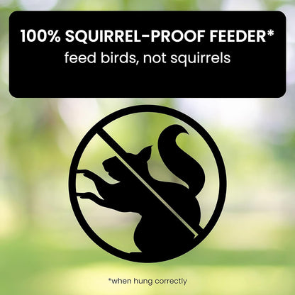 Wild bird feeder with protective squirrel-proof cage, ideal for backyard wildlife & bird enthusiasts.