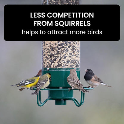 Close-up of a durable squirrel-proof bird feeder, showcasing its protective design for wild birds.