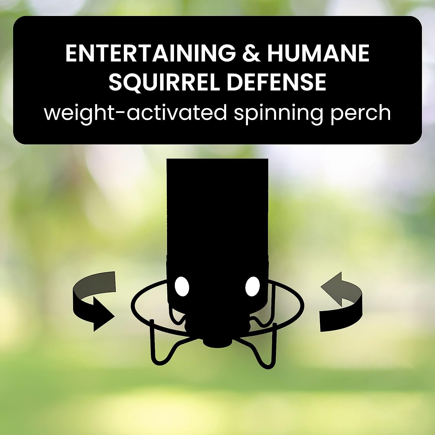 Squirrel-proof hanging bird feeder filled with seeds, attracting various wild birds to the backyard.