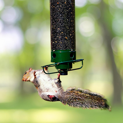 Outdoor squirrel-proof bird feeder, perfect for attracting wild birds to your garden while deterring pests.