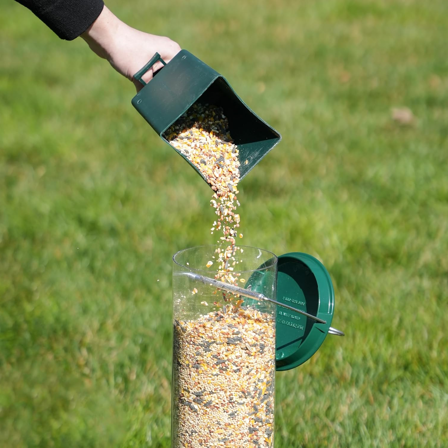Durable outdoor squirrel-proof bird feeder with secure design for wild birds. Enhances garden wildlife viewing.