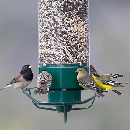 Beautiful garden setting featuring a hanging squirrel-proof bird feeder, drawing various wild birds. Outdoor wildlife feeder.