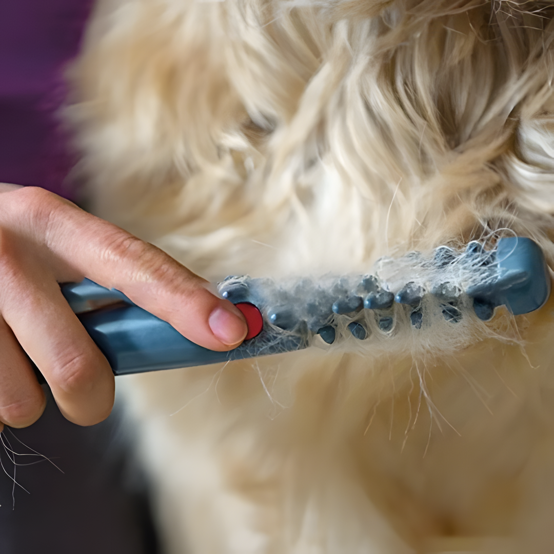 Happy cat enjoying gentle grooming with a pet fur trimmer. Keeps all coat types smooth, healthy, and tangle-free.