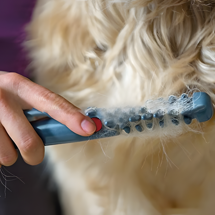 Happy cat enjoying gentle grooming with a pet fur trimmer. Keeps all coat types smooth, healthy, and tangle-free.