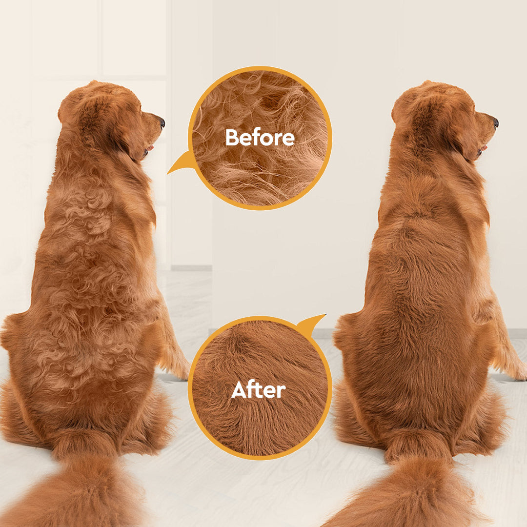 Professional pet grooming vacuum kit, quiet and powerful for all pet types.