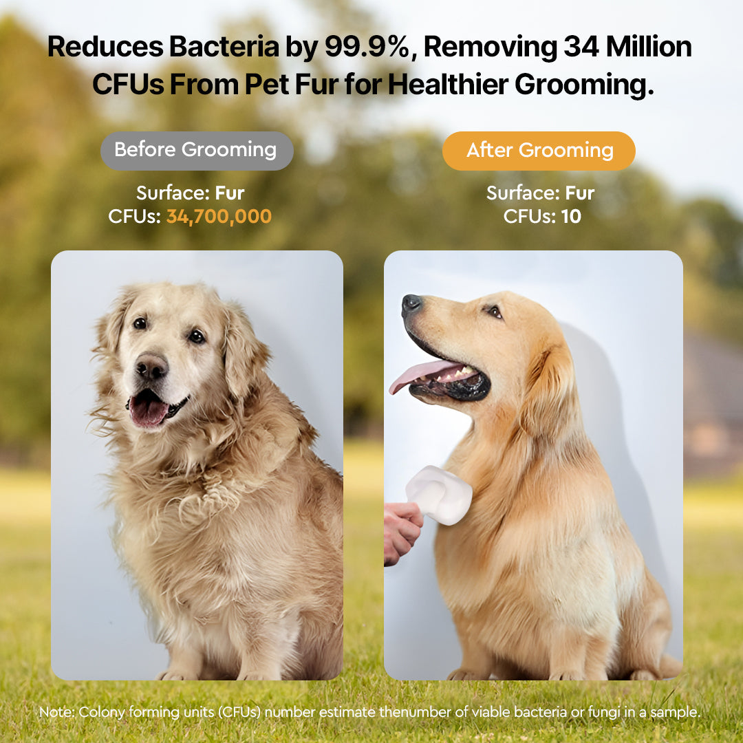 Pet vacuum grooming kit, quiet suction for dog grooming & effective hair removal.