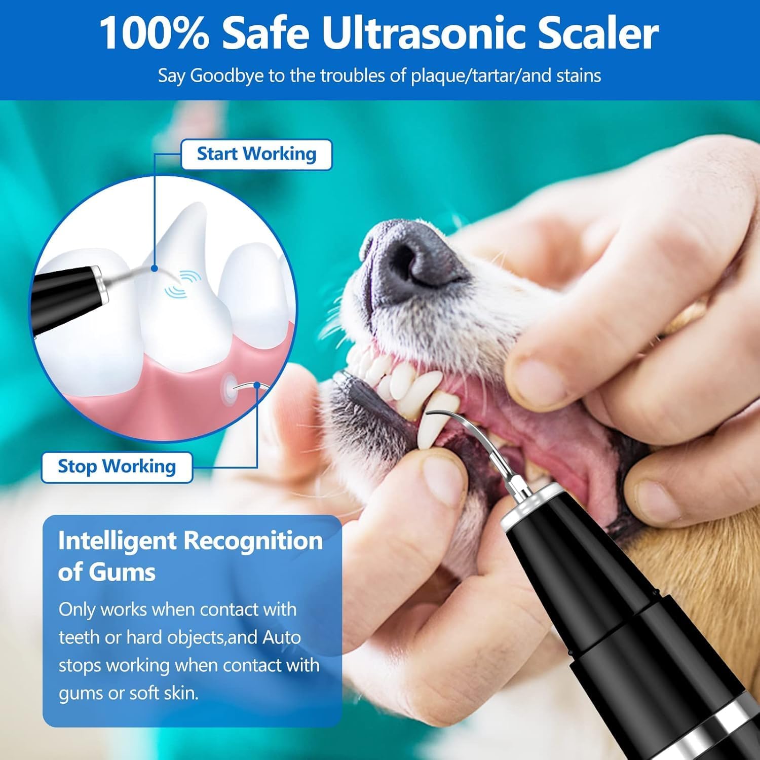Maintain healthy pet teeth with this home ultrasonic dental cleaner for dogs, a powerful plaque & tartar remover tool.