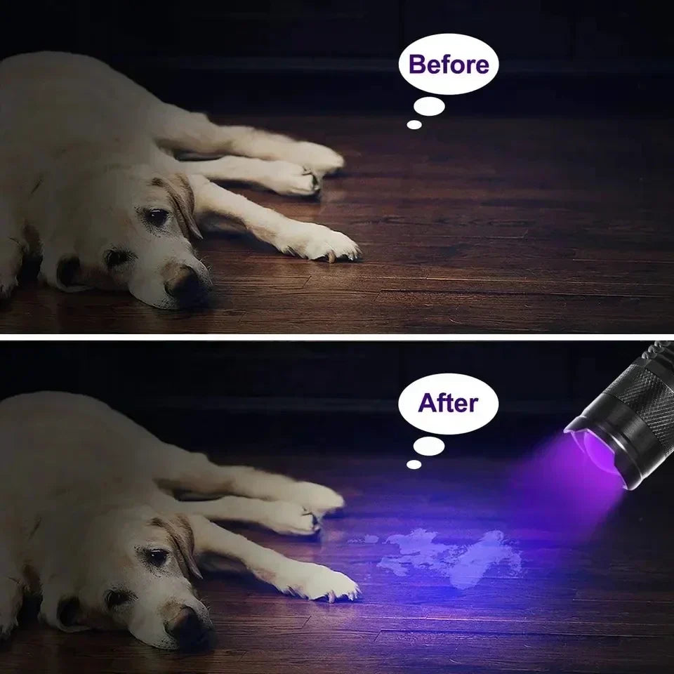 Handheld UV blacklight lamp, ideal for detecting dog urine & cat stains. A must-have pet mess detector.