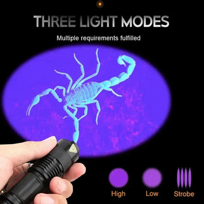 Portable blacklight UV lamp for pet owners. Detects dog & cat urine, invisible stains for thorough cleaning.