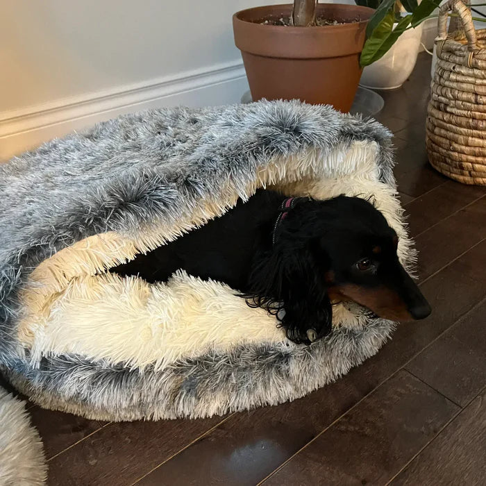 Plush cozy donut pet bed for dogs & cats. Washable, comfortable, perfect for ultimate relaxation.