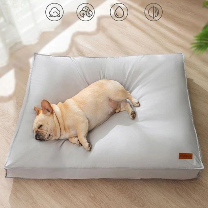 Durable & washable pet bed, waterproof for spills, offering long-lasting comfort for dogs of all sizes.