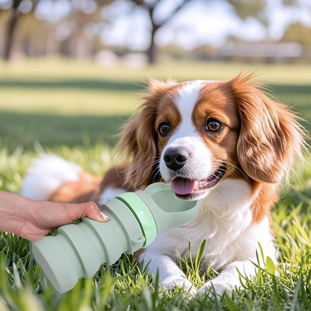 Collapsible pet water bottle, portable design for small to medium dogs, green