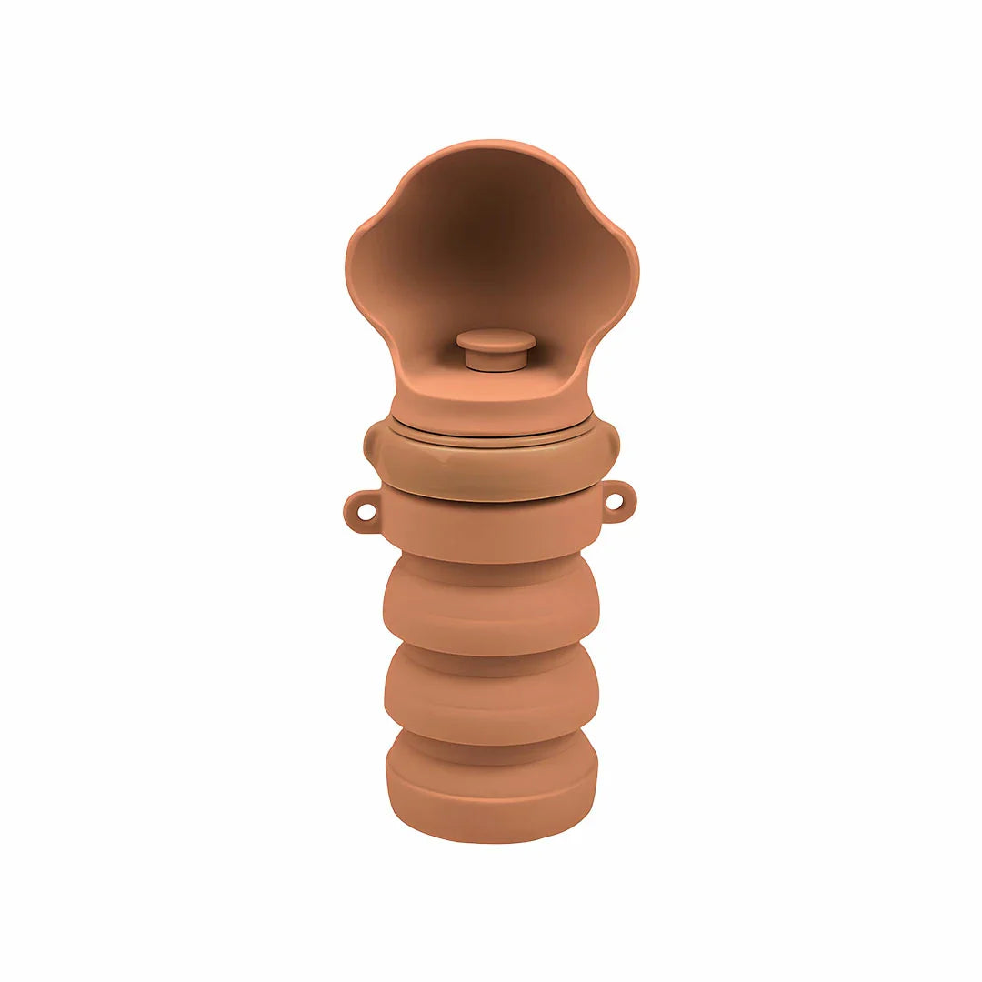 Leak-proof portable pet water bottle, 500ml, for easy dog hydration anywhere