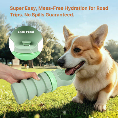 Compact outdoor pet hydration bottle, travel-ready, with folding silicone bowl