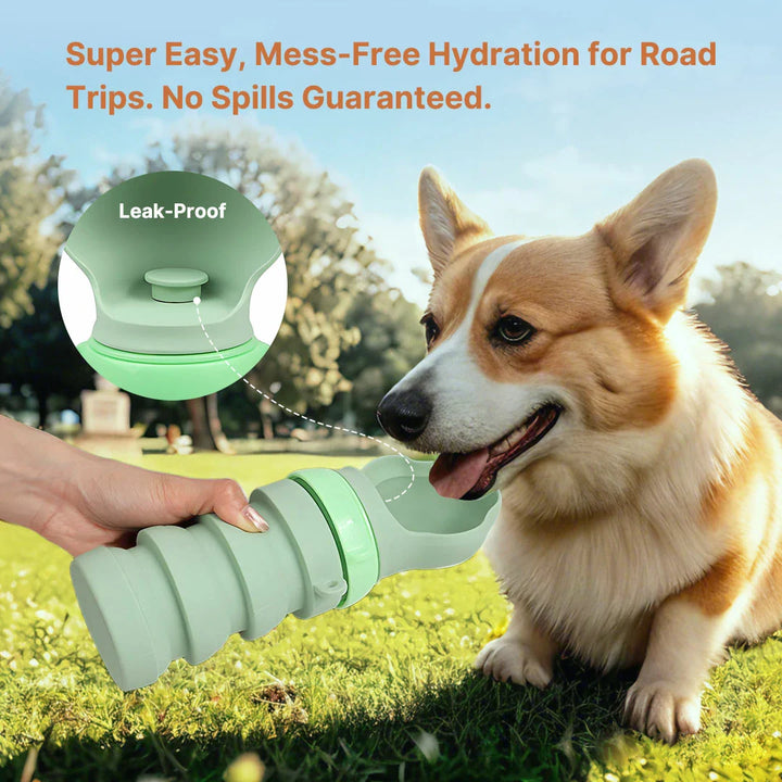 Compact outdoor pet hydration bottle, travel-ready, with folding silicone bowl