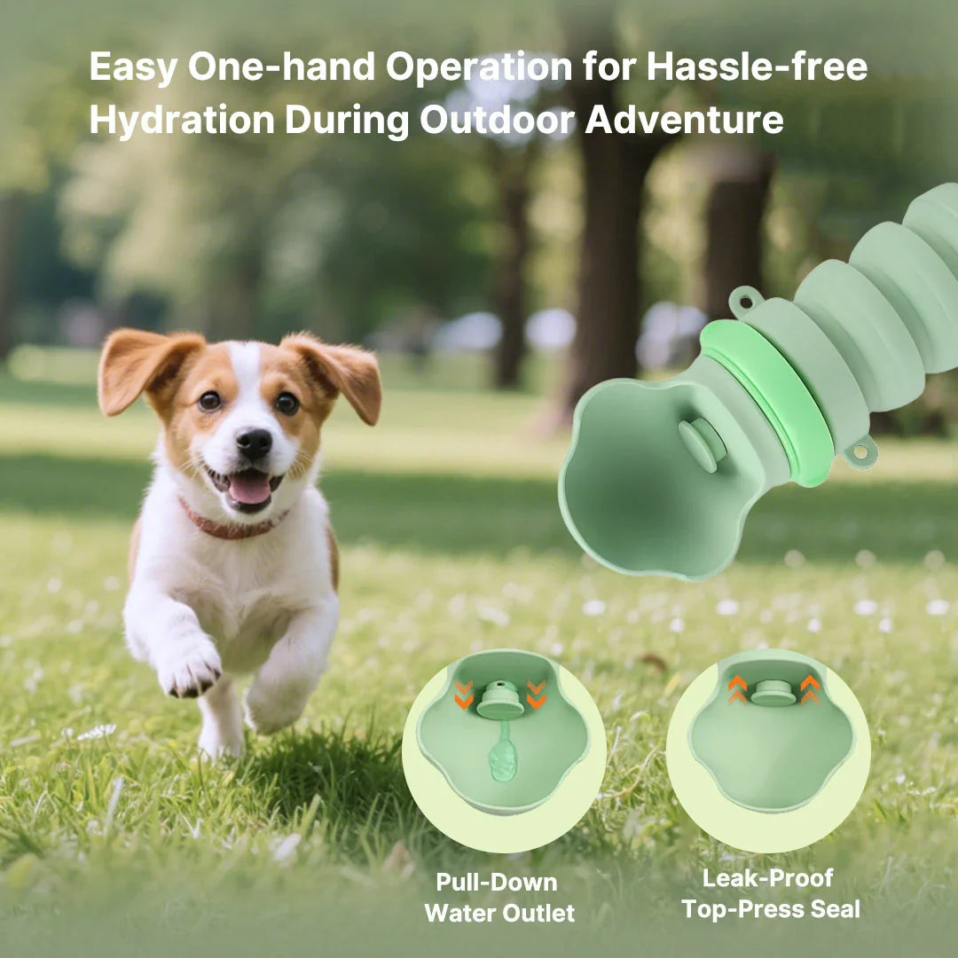 Leak-proof portable pet water bottle, ideal for dog walks and outdoor adventures