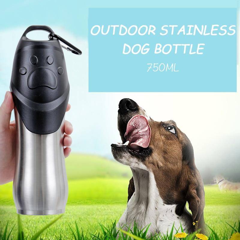 Portable stainless steel outdoor pet water bottle with attached bowl, perfect for dog travel.