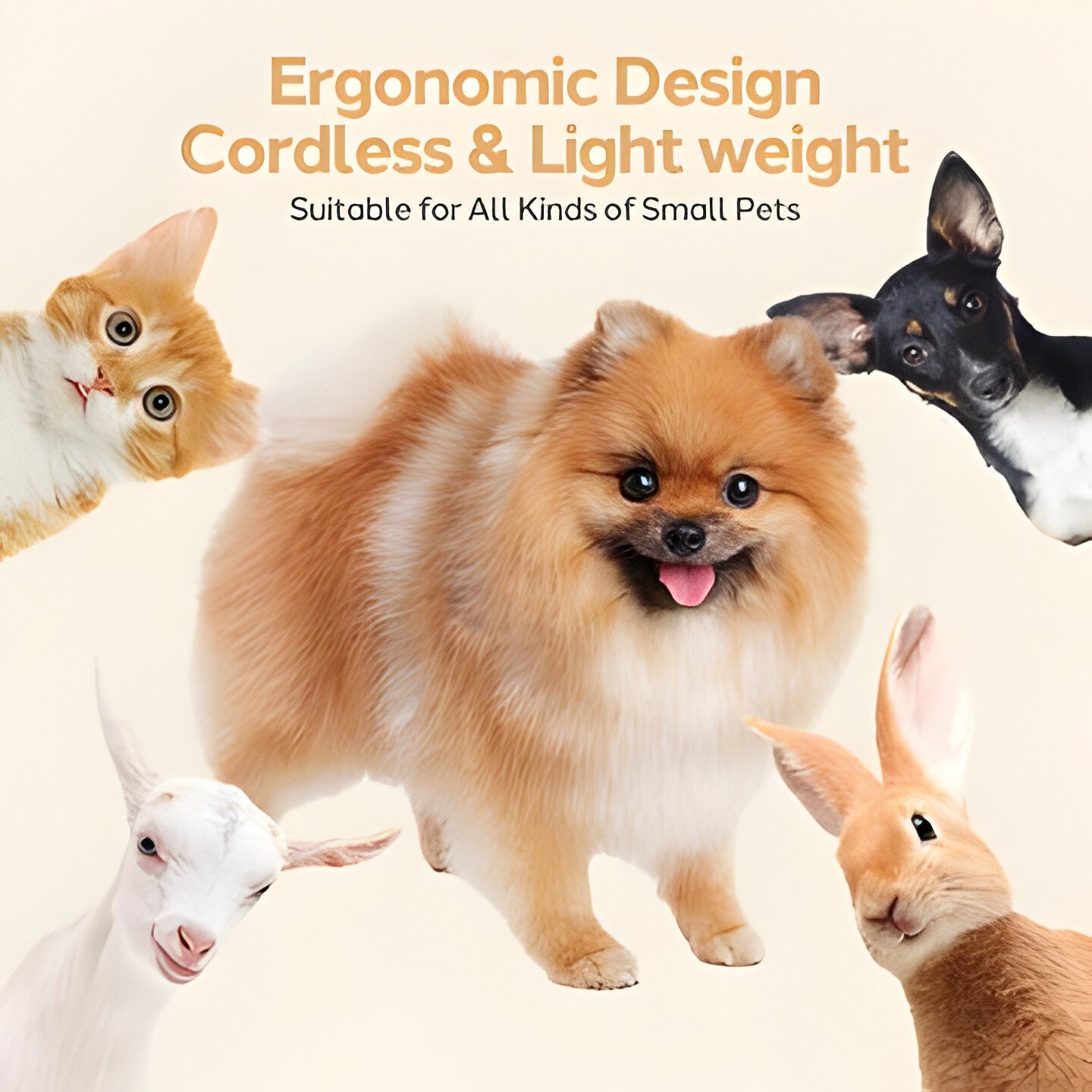 Full dog grooming kit: quiet pet clippers, combs, brush, oil & charger for complete home care.