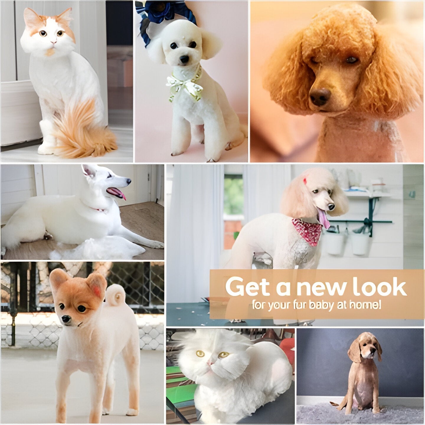 Ergonomic, quiet cordless dog trimmer for easy and comfortable animal grooming sessions at home.