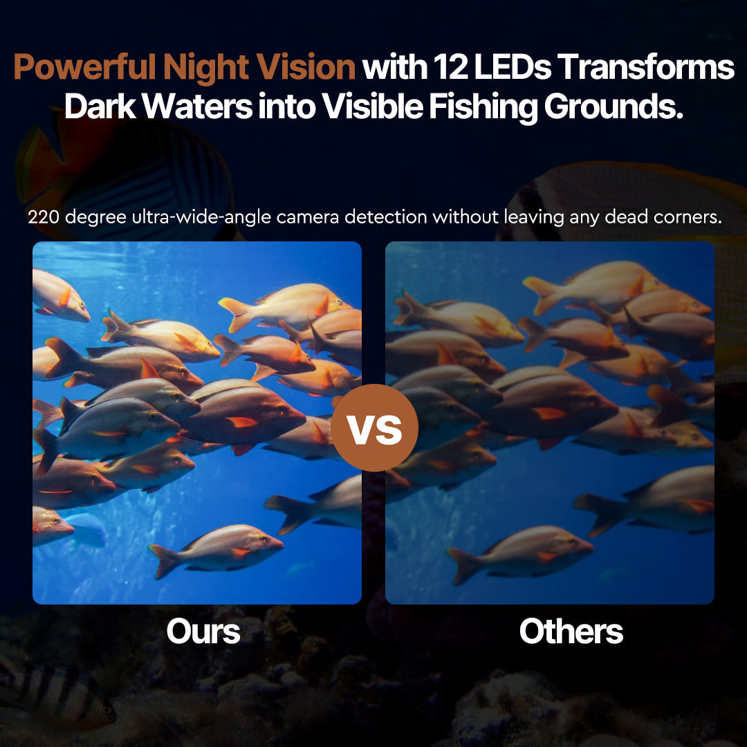 Underwater view from 4K camera of fish finder, showing fish in their natural habitat