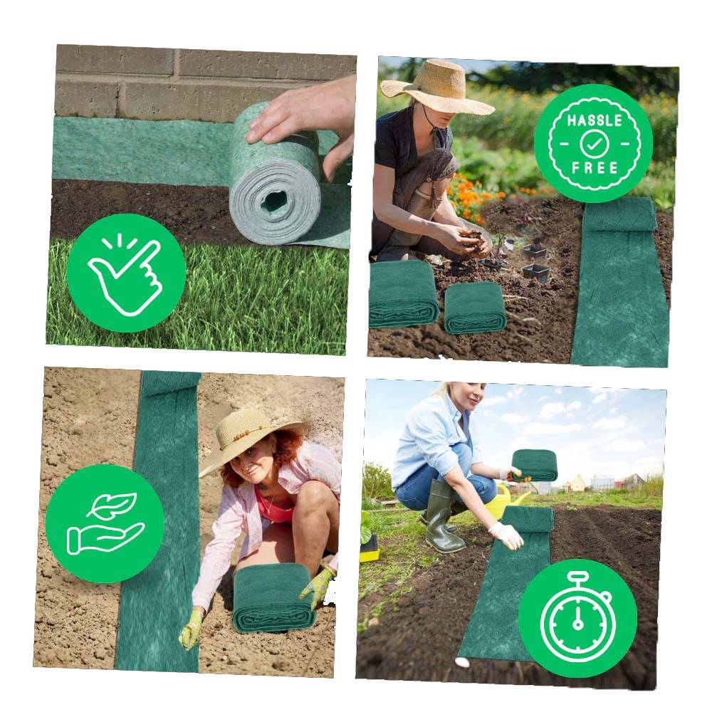 Green grass seed mat, pre-seeded for easy growth & rapid lawn repair. Sustainable landscaping solution.